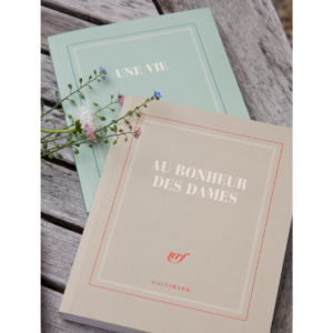 carnet Gallimard une vie Guy de Maupassant sélection papeterie maison o mana écriture couverture de livre
