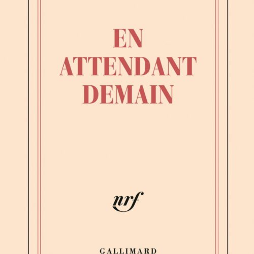 carnet Gallimard feuilles blanches lignées écriture original sélection maison o mana raffinement emblématique couverture livre